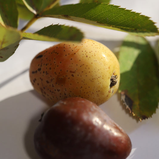 Bougie de fleurie 80g Souvenir du verger